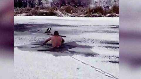 Рискуя жизнью мужчина спас собаку, провалившуюся в полынью. Хиты интернета