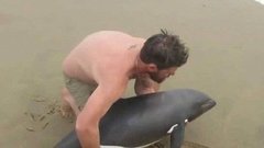 В Намибии местный житель спас дельфиненка. Хиты интернета