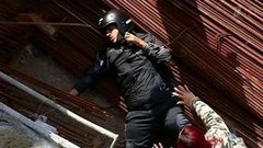 В Бразилии мотоциклист чудом выжил в страшной аварии. Хиты интернета