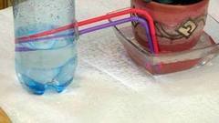 Как поливать комнатные растения. Доброе утро. Фрагмент выпуска от 02.08.2016