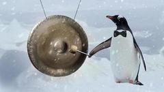 Что? Где? Когда? Зимняя серии Игр. Игра первая. Анонс