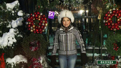 Украшаем дачный участок к новогодним праздникам