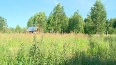 Как бесплатно получить землю. Доброе утро. Фрагмент выпуска от 02.07.2015