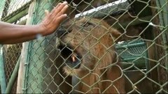 В мире. Гватемала: национальный праздник. Доброе утро. Фрагмент выпуска от 30.06.2015