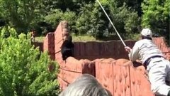 В мире. Медведь-бунтарь. Доброе утро. Фрагмент выпуска от 25.05.2015