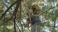 В мире. Спасли ребенка. Доброе утро. Фрагмент выпуска от 13.05.2015