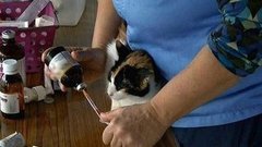 В мире. Международный день медицинской сестры. Доброе утро. Фрагмент выпуска от 12.05.2015