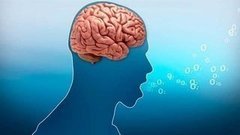 Хочу все знать. Зачем мы зеваем и чихаем. Доброе утро. Фрагмент выпуска от 27.04.2015