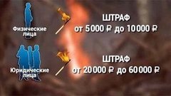 Пал травы дорогого стоит. Доброе утро. Фрагмент выпуска от 20.04.2015