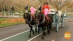 В мире. Конные экипажи. Доброе утро. Фрагмент выпуска от 19.06.2017