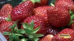 Клубника: проверка качества. Контрольная закупка. Фрагмент выпуска от 20.06.2017