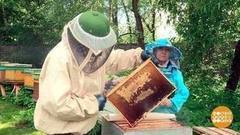 Погода — не мед? Доброе утро. Фрагмент выпуска от 28.06.2017