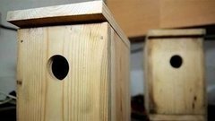 Каждой птичке — отдельное жильe! Доброе утро. Фрагмент выпуска от 06.04.2015