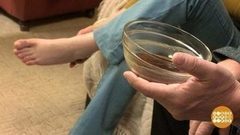 Сирень от подагры. Доброе утро. Фрагмент выпуска от 01.08.2017