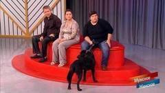 Сорвался с цепи. Мужское / Женское. Самые драматичные моменты выпуска от 11.10.2017