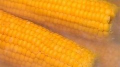 Варим кукурузу. Доброе утро. Фрагмент выпуска от 20.08.2015