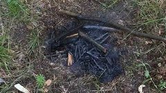 Не надо грязи и костров. Доброе утро. Фрагмент выпуска от 04.08.2015