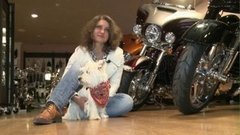 Животные в офисе. Доброе утро. Фрагмент выпуска от 03.08.2015