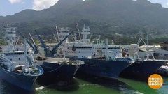 В мире. Меньше рыбы. Доброе утро. Фрагмент выпуска от 11.04.2018