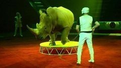 Идём в цирк! Доброе утро. Фрагмент выпуска от 23.10.2015