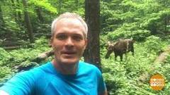 Лоси в городе! Доброе утро. Фрагмент выпуска от 18.07.2018