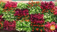 Целое море цветов… в ГУМе! Доброе утро. Фрагмент выпуска от 26.07.2018