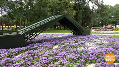 Санкт-Петербург прихорашивается. Доброе утро. Фрагмент выпуска от 27.07.2018