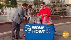 Семен Ланцман. Шоу «Wоw! How?» Доброе утро. Фрагмент выпуска от 05.09.2018