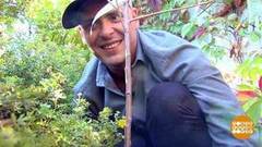 Время выбирать саженцы. Доброе утро. Фрагмент выпуска от 18.09.2018