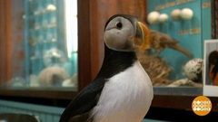 В мире. Спасение тупиков. Доброе утро. Фрагмент выпуска от 23.10.2018