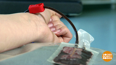 Кровь для детских сердец. Доброе утро. Фрагмент выпуска от 04.04.2019