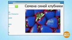 «Синяя клубника» и «малиновые деревья». Доброе утро. Фрагмент выпуска от 23.04.2019
