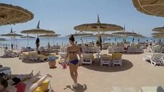 Если не в Египет, то куда? Доброе утро. Фрагмент выпуска от 17.11.2015