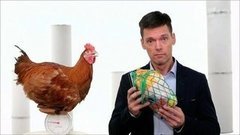 Синяя птица. Теория заговора. Выпуск от 28.11.2015