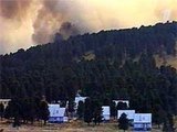 Лесные пожары в Горном Алтае