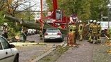 Шесть человек стали жертвами урагана «Герварт», который обрушился на Европу