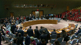 Совет безопасности ООН собрался на экстренное заседание в связи с авиаударами западной коалиции по Сирии
