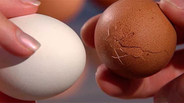 Как получить сильнейшее яйцо. Прочность куриного яйца. Разбито яйцо на памсху. Прочность скорлупы куриного яйца. Разбитое яйцо на Пасху.
