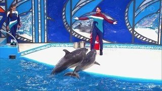Максим Маринин. Выступление. Вместе с дельфинами. Фрагмент выпуска от 24.10.2015
