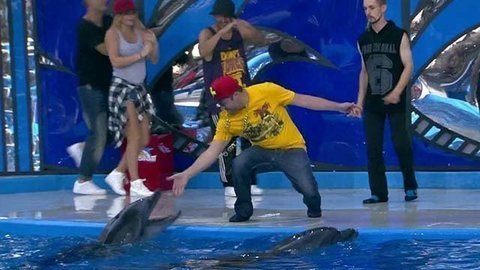 Максим Шарафутдинов. Выступление. Вместе с дельфинами. Фрагмент выпуска от 03.10.2015