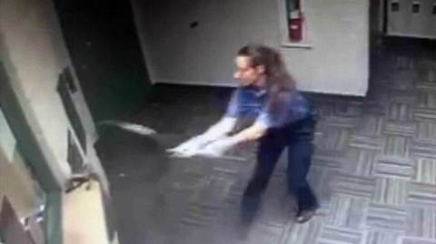 Еноты атаковали полицейский участок в США. Хиты интернета