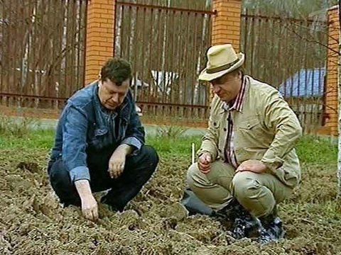 Грядка. Выпуск от 02 мая 2010