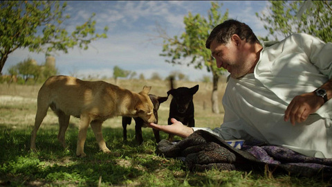 «Ты же должна понимать, что тебе с этим ментом нехорошо быть, опасно». А у нас во дворе… Новые серии. Анонс