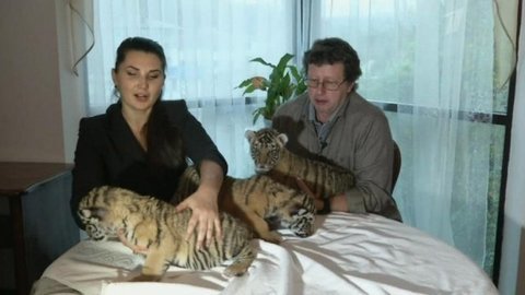 Хочу знать. Выпуск от 25.02.2013