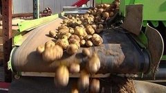 Картошка. Урожай и цены. Доброе утро. Фрагмент выпуска от 17.09.2015