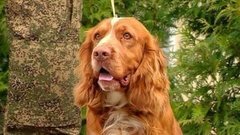 Четвероногие таможенники. Доброе утро. Фрагмент выпуска от 10.05.2016