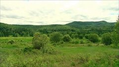 Гектар бесплатно. Доброе утро. Фрагмент выпуска от 30.06.2016