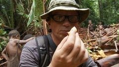 «По следам великих русских путешественников». О встрече c людьми, живущими на деревьях в Папуа-Новой Гвинее