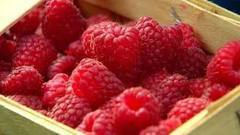 Ягода-малина. Доброе утро. Фрагмент выпуска от 17.08.2016