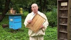 Лечим атеросклероз. Доброе утро. Фрагмент выпуска от 30.08.2016